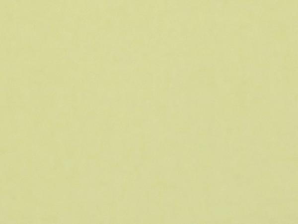 Carina 4996 - slonová kosť