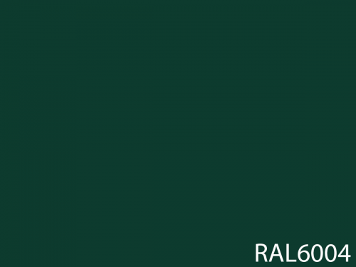 RAL 6004