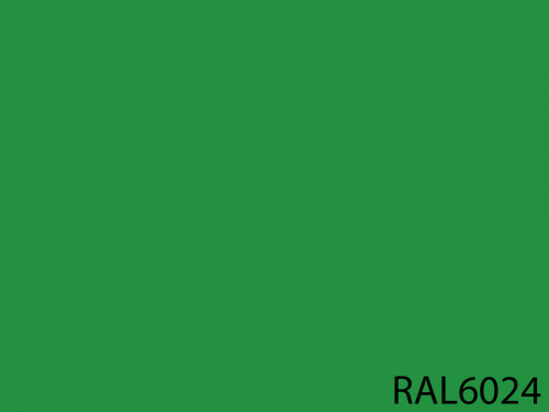 RAL 6024