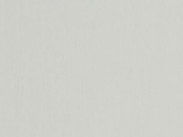 Carina 4934 - bledosivá