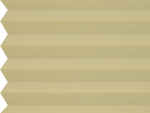 Coral 107 - Bledožltá