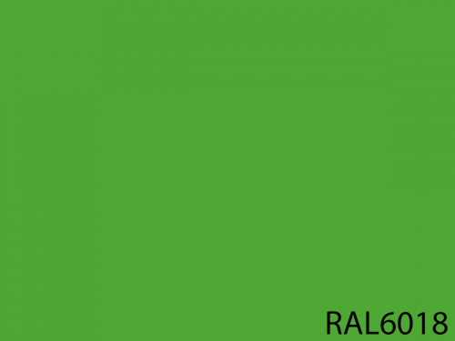 RAL 6018