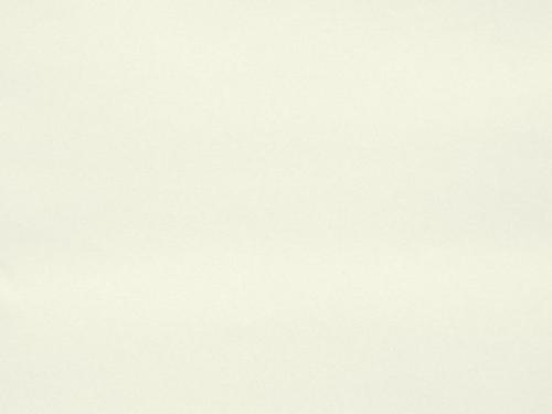 primbo5162 - slonová kosť