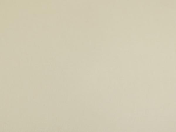 Eden 130 - Champagne