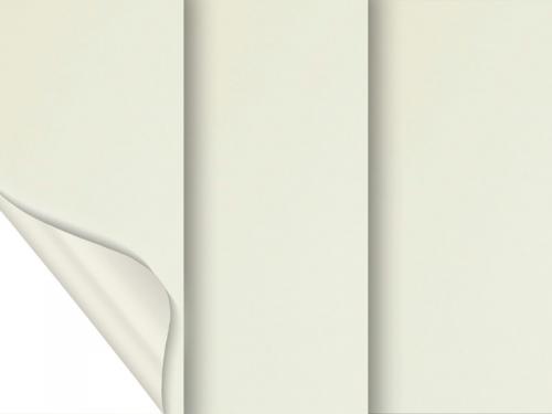 Madagaskar 056 (zatemňujúca) - slonová kosť