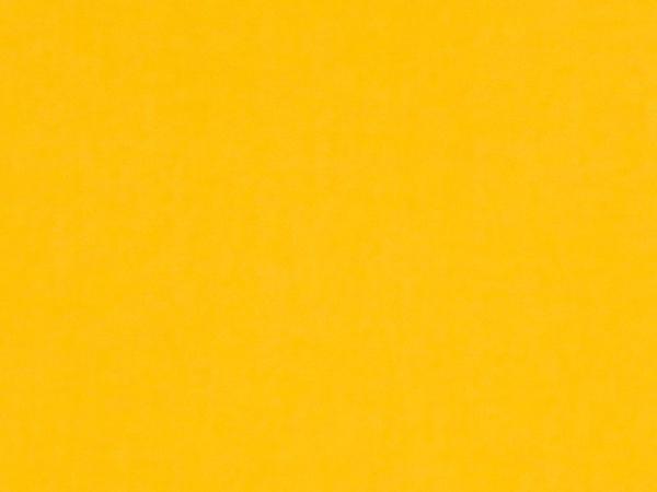 Carina 10112 - žltá