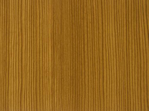 23 - Borovica horská