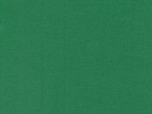 10111 - sýtozelená