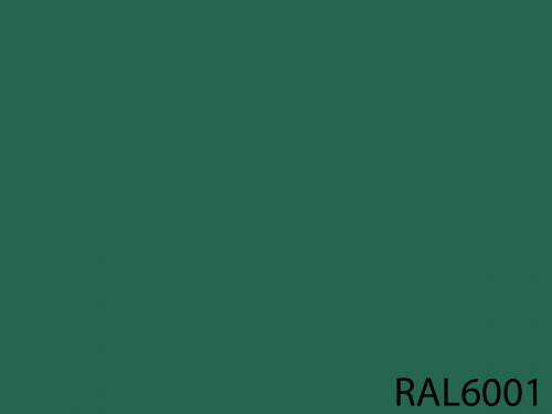 RAL 6001