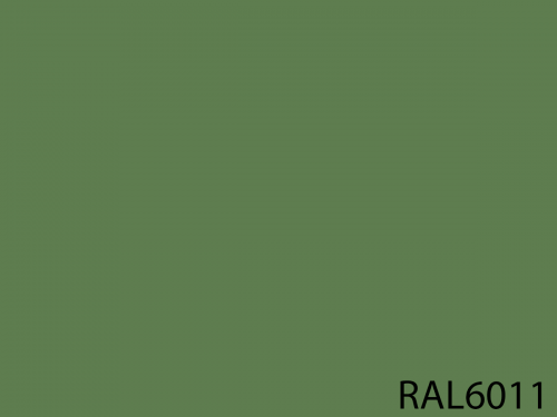 RAL 6011