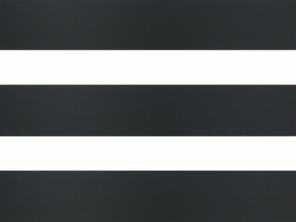 Standard 005 - Čierna